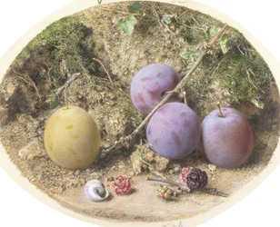 Pflaumen und Maulbeeren, ca. 1860